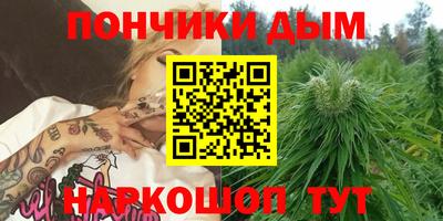 МДПВ Краснознаменск