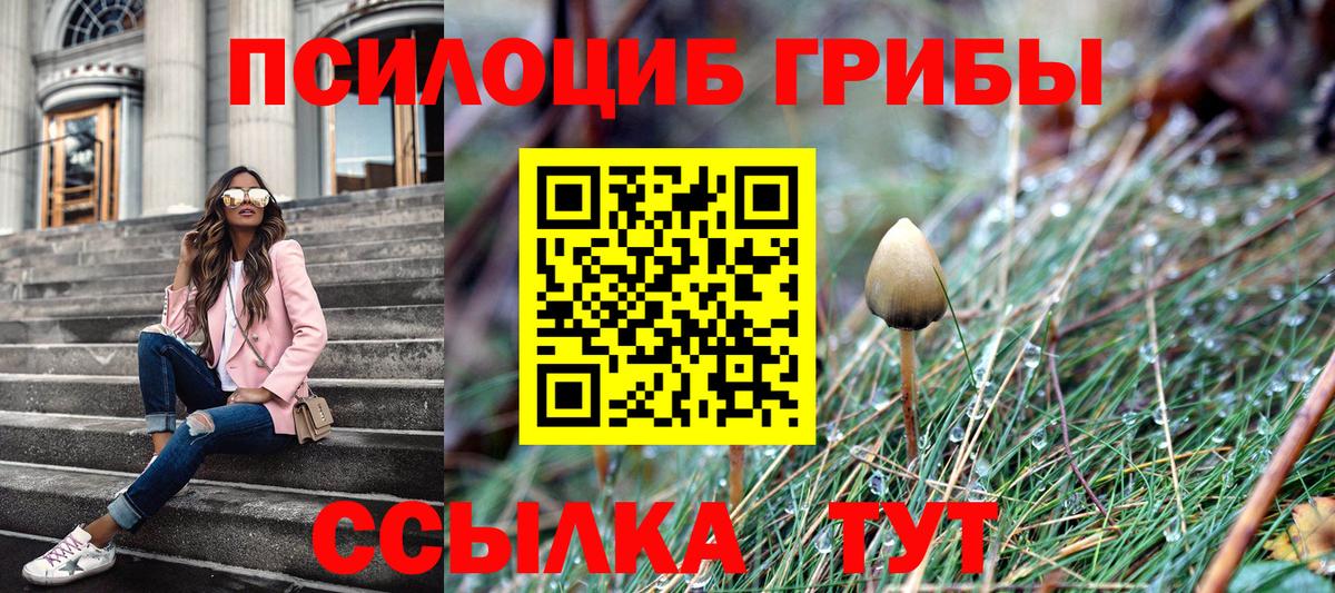 Галлюциногенные грибы Psilocybine cubensis  Вход с VPN  Елец  наркошоп  Псилоцибиновые грибы Cubensis 