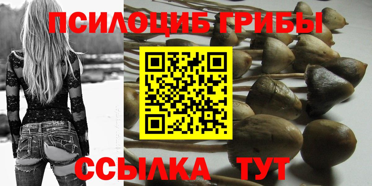 Галлюциногенные грибы Psilocybine cubensis Елец
